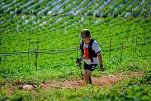 BIB: 
                            <button type="button" onclick="openModal(19164638)" class="btn btn-primary btn-sm float-right btn-popup" data-toggle="modal" data-target=".modal-high-quality">
                        <i class="fas fa-shopping-cart"></i> Add to Cart
                    </button>
                                            <button type="button" onclick="isThisMe(19164638, true)" class="btn btn-success btn-sm float-right btn-popup btn-isme hidden" data-toggle="tooltip" data-placement="bottom" title="นี่คือรูปของคุณใช่ไหม คลิกที่นี่เพื่อเอาเข้าอัลบั้ม">
                        <i class="fas fa-plus"></i> Add to album
                    </button>
                    <button type="button" onclick="isThisMe(19164638, false)" class="btn btn-warning btn-sm float-right btn-popup btn-isnotme hidden">
                        <i class="fas fa-ban"></i> Remove from album
                    </button>